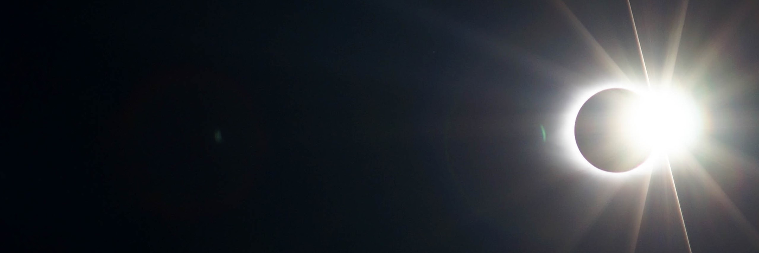 Peter Kapusta header image